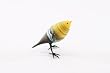 Yellow And Black Little Finch