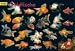 Goldfische
