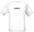 AMES - City-series - Heather Grey or White T-shirt