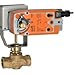 Globe Valve