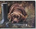 Pet Mat - 18.0 x 27.0 - Chocolate Labrador Retriever Grass