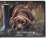 Chocolate Lab Labrador Retriever Indoor / Outdoor Designer Doormat