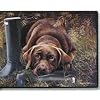 CHOCOLATE LAB DOORMAT Art by Barrie Barnett
