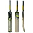 Cricket Gear