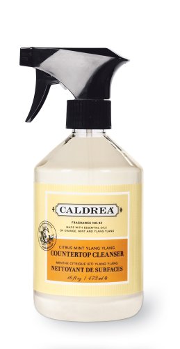 Caldrea Counter-top Cleanser, Citrus Mint Ylang Ylang, 16-Ounce Bottles (Pack of 6) by Citrus Oils
