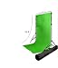 10ft X 15ft Chromakey Green Backdrop with a Stand