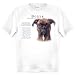 Boxer UNCROPPED Human Trainer Adult T Shirt