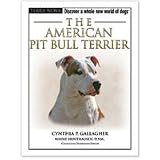 American Pit Bull Terrier