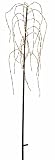 Best Season 860-16 LED-Weeping Willow, 150 cm, outdoor, mit Trafo