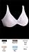 Bali Passion for Comfort&reg; Minimizer Underwire Bra with Comfortable Back Style # 3642