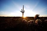 TOPO! Arizona
