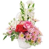 Flowers - Beautiful Life