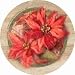 Kitchen & Housewares : Set of Four Poinsettia Thirstystone Coasters Style - Ts154r