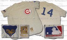 Ernie Banks 1969 Chicago Cubs #14 Authentic Home Throwback Mitchell and Ness MLB Baseball Jersey (White)