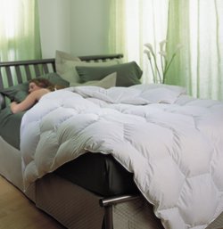 Pearl Crescent Hypodown Comforter/Duvet - King - Classic/800 Loft