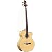 Musical Instruments : Takamine EG512CFG Jumbo Cutaway Acoustic-Electric Bass - Flamed Natural