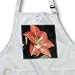 Amaryllis Macro - flower, amaryllis, flowers, horsemans star, knights star, morning star, plant - BLACK Full Length Apron With Pockets 22w X 30l