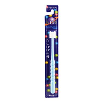 たんぽぽの種キッズ　１本入り
