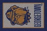 Georgetown Hoyas 2' 8x 3' 10 Team Spirit Area Rug