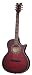 Schecter Hellraiser Stage 6-String Acoustic-Electric Guitar, Black Cherry
