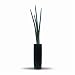 �s�l�H�ϗt�A���E���ԁtSansevieria Stucky(�T���Z�x���A�E�X�^�b�L�[/����Η�)
