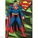 Search : DC Comics Superman Standing Magnet 22048DC