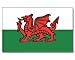 Wales  Flagge Fahne 90 * 150 cm