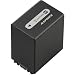 Sony NP-FH100 Infolithium H Series High Capactiy Camcorder Battery