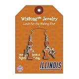 University of Illinois Wishing Necklace