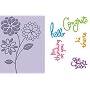 Cuttlebug 37-1164 A2 Die-Cut and Embossing Folder Combo, Everyday Greetings