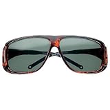 ESCHENBACH(�G�b�V�F���o�b�n) �I�[�o�[�T���O���X �Ό������Y(��) �|�����C�Y�h�O���[ 1660-3801