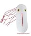 Salmonella (Salmonella typhimurium) GIGANTICMicrobes