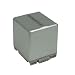Lenmar LIP21 Lithium-ion Camcorder Battery Equivelent to the Panasonic CGR-DUO7, CGA-DU0714 and CGA-DU721 Batteries