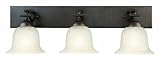 Design House 517649 Ironwood 3 Light Vanity Light Fixture, Brushed Bronze Finish with Snow Glass