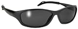 Hawk Black Sports Motorcycle Sunglasses Smoke Len