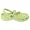 Celery