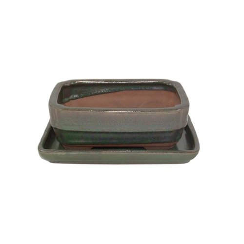 15.5cm Green Glazed Bonsai Pot and Tray Set