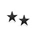 Christmas Gifts Black Stainless Steel Star Stud Earrings Unisex 10mm