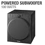 Sony SA-W2500 Performance Line 100 Watt Subwoofer