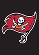 Tampa Bay Buccaneers Mini Garden Window Flag 15"x10.5" NFL Football Fan Shop Sports Team Merchandise