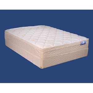 Value Collection Orthopedic Pillow Top Mattress Set Queen by Private Label