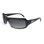 Black Flys Sunglasses - Flyjacker - Grey
