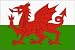 Wales Flag Polyester 3 ft. x 5 ft.