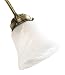 31tevnbYVYL. SL75  Savoy House FLG 110 04 Danville 2 Light Ceiling Fan Wet Location Light Kit, Dark Bamboo Finish with Cream Scavo Glass