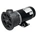 1 HP 115 Volt 2 Speed Center Discharge Waterway Spa / Hot Tub Pump 1.5