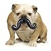 Humunga Stache Durable Dog Toy--