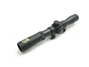 4X20 Compact Air Scope/Blue Lens