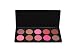 Amae Beauty 10 Piece Professional Blush Palette