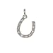 Sterling Silver CZ Horseshoe Charm