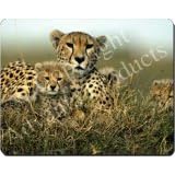 NEW-CHEETAH MUM+CUBS Mouse Mat / Pad